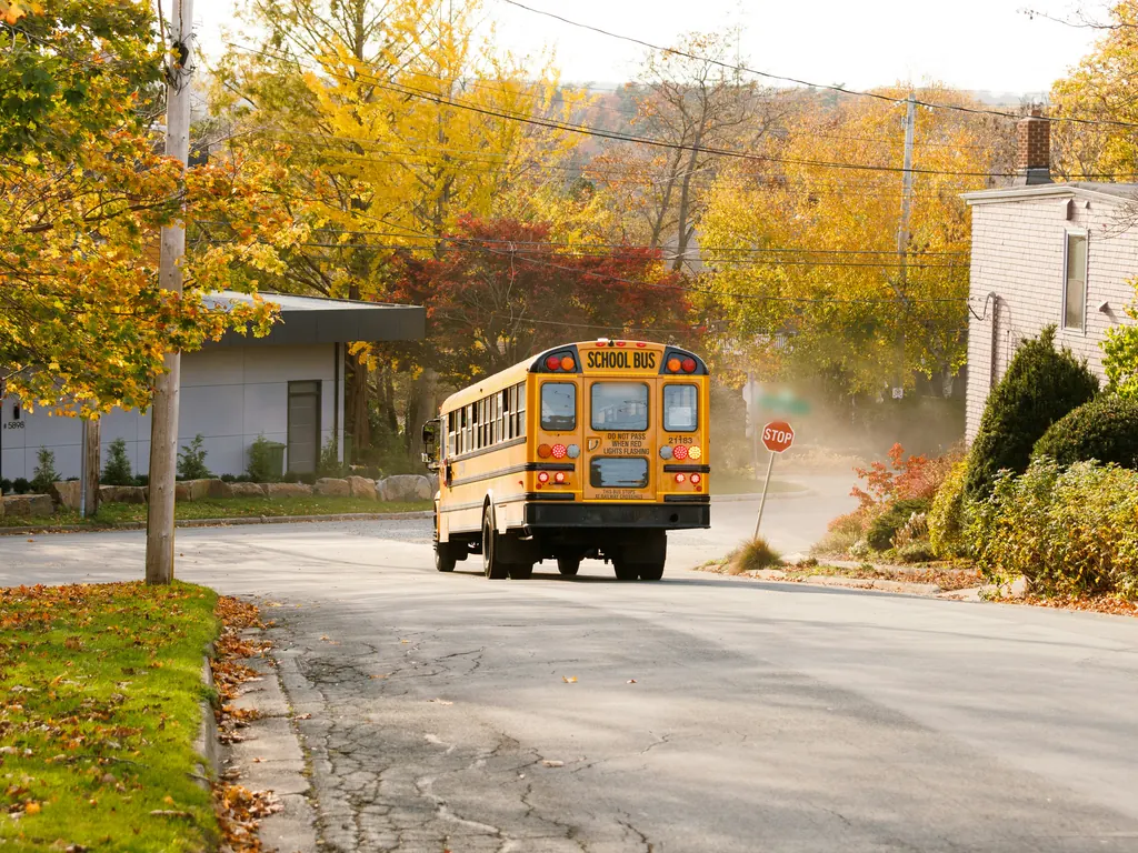 A yellow school bus, seen from behind, on a residential street lined with autumn trees